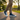 Asian male model white shoes park