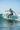 Look 3 – Riding the Wave