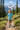 Boy Mountain Look
