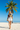 Palm Tree