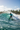 Surfing tropical beach wave
